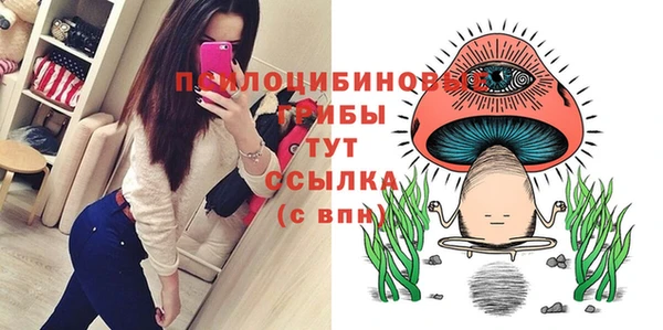 COCAINE Медвежьегорск